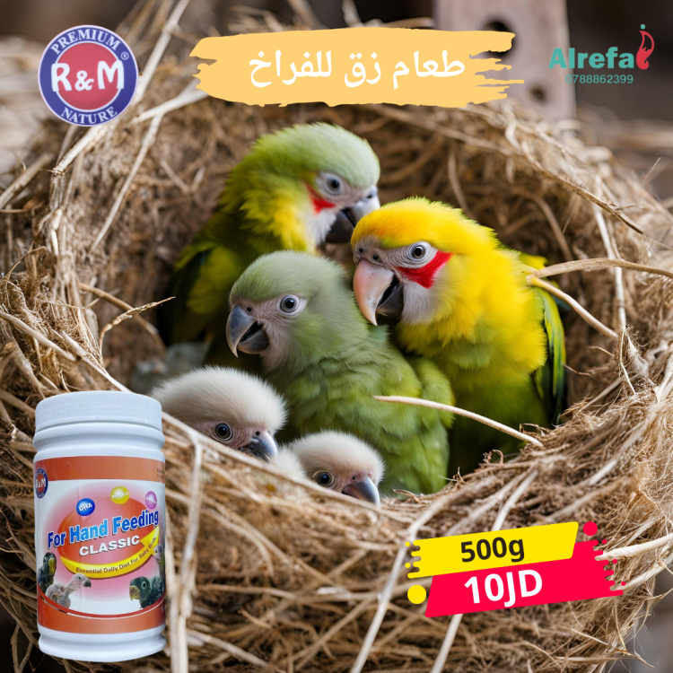 طعام زق للفراخ 