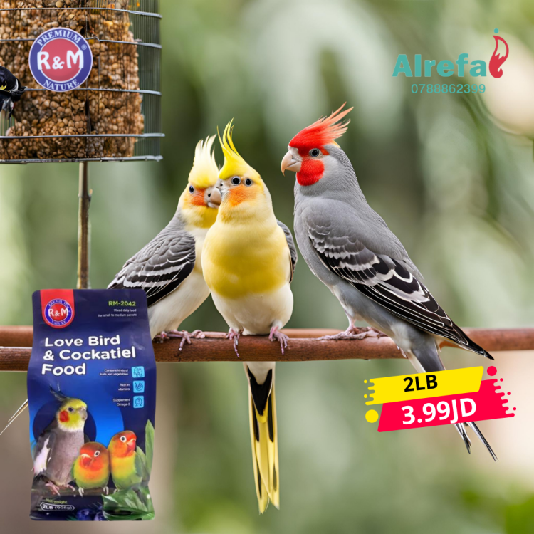 طعام كوكتيل وفشر خلطه 