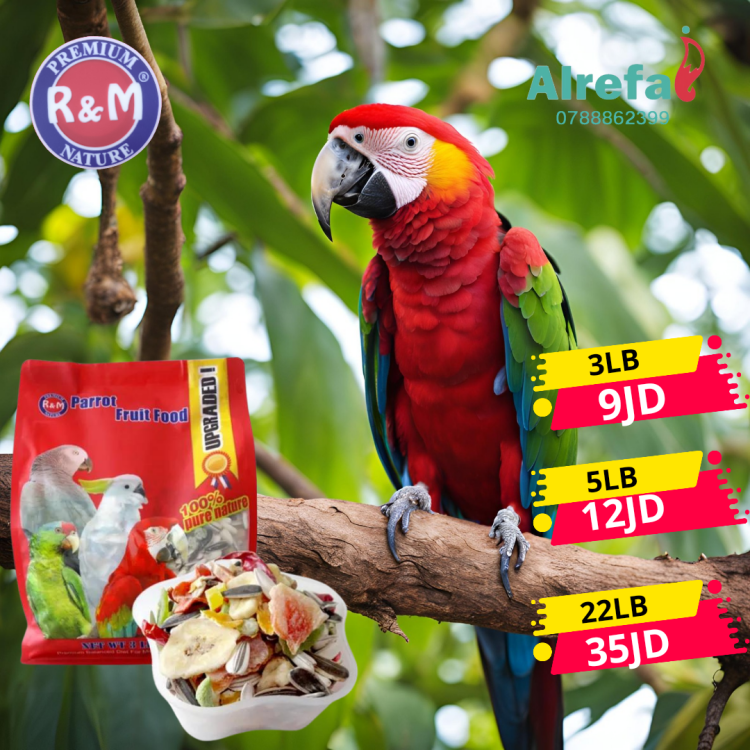 طعام ببغاء خلطه مع فواكة مجففة