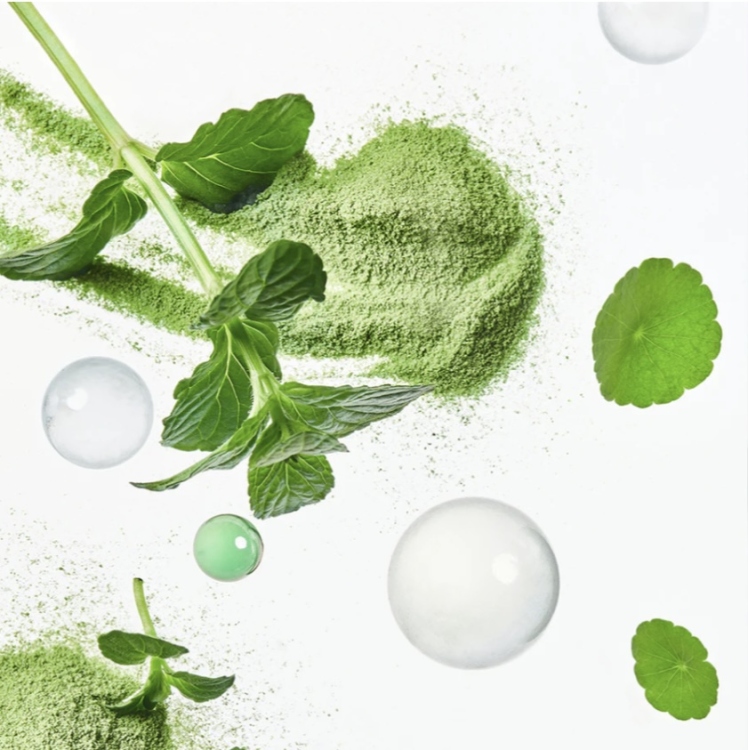 TOCOBO, Cica C:ooling Sun Stick