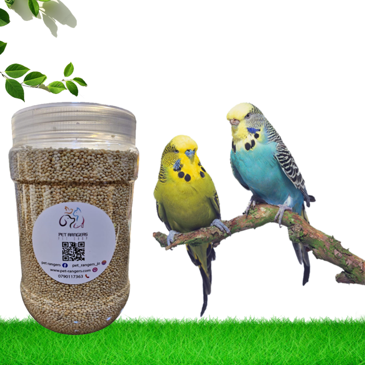 حبوب د’خن أكل طيور حب 800 غرام