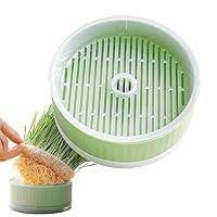 وعاء زراعة عشب للقطط المنزلية ، صينية إنبات قابلة للفصل، صندوق عشب خالٍ من التربة، يساعد على الهضم