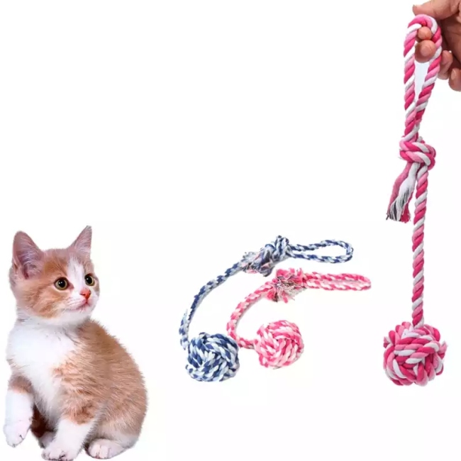 عضاضه للكلاب متوسطة الحجم