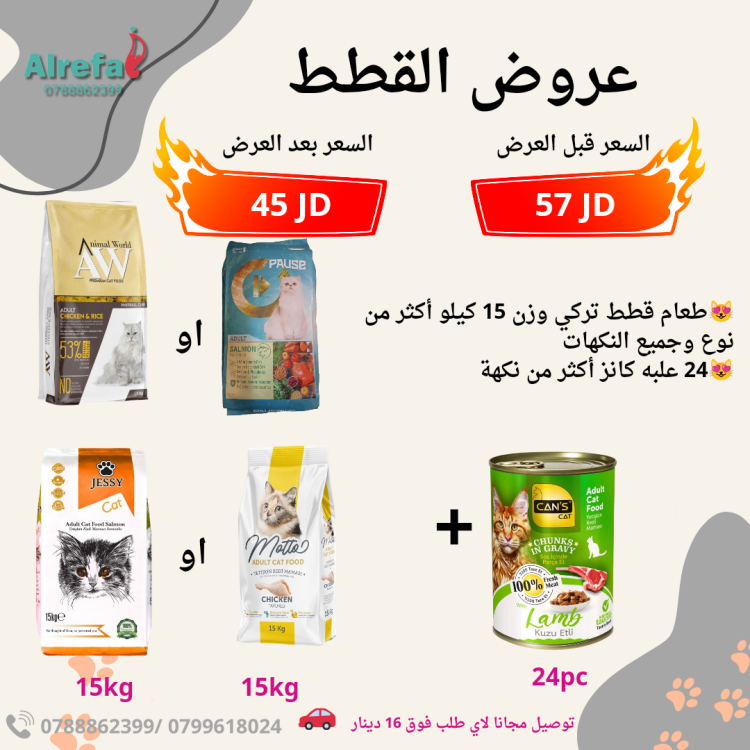 عروض قطط الشارع 