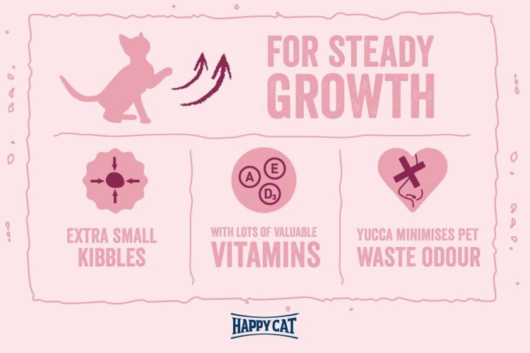 هبي كات مينكاس كيتن دجاج 