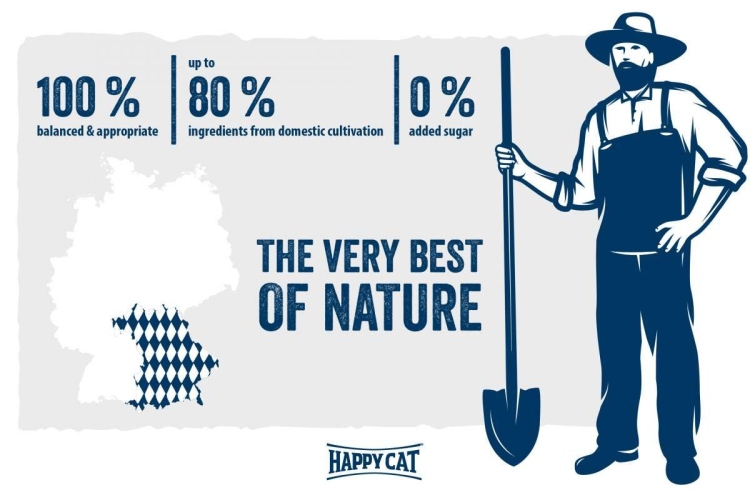 هبي كات مينكاس كيتن دجاج 