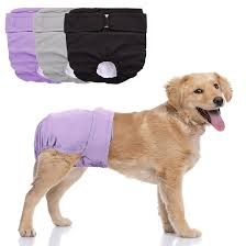 Female  Dog Diapers - XL Size