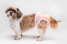 Female  Dog Diapers - Medium Size