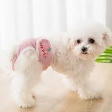 Female  Dog Diapers - Small Size