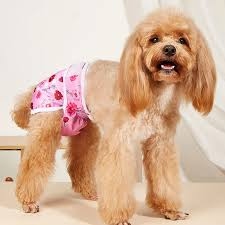 Female  Dog Diapers - Large Size