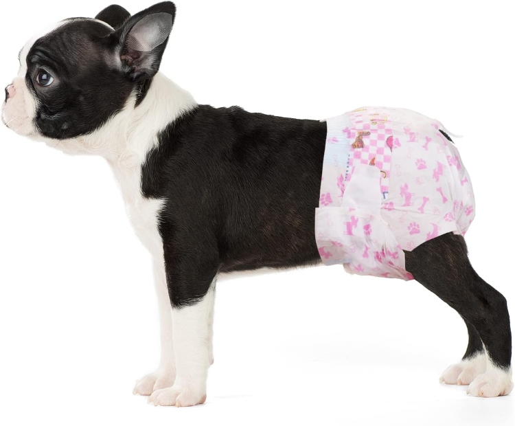Male Dog Diapers - Medium Size