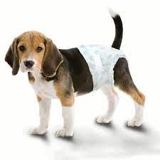 Male Dog Diapers - Large Size