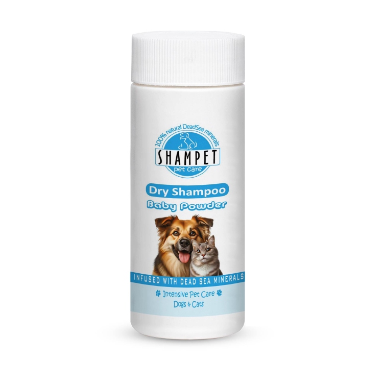 شامبو شاف بيبي باودر عالي الجودة 