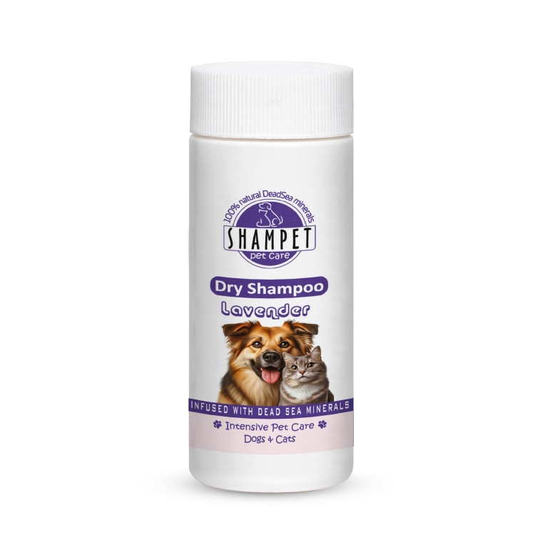 شامبو جاف لافندر 
