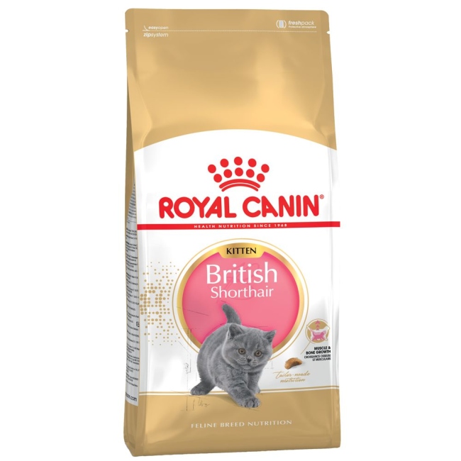 Royal Canin British Shorthair Kitten 