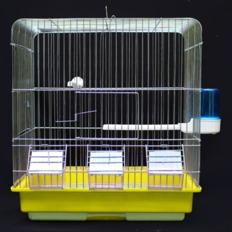 قفص ٣ معالف