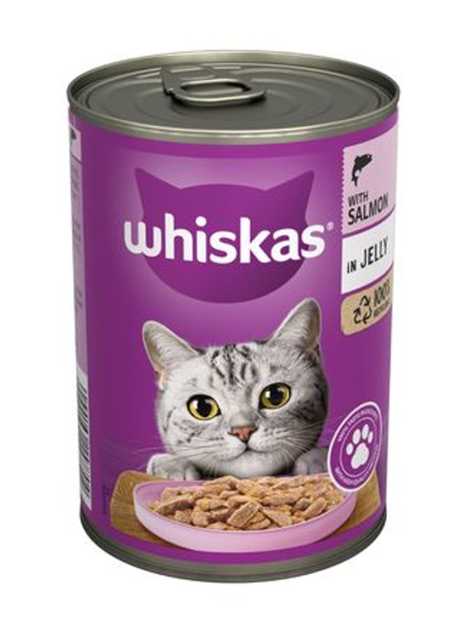 طعام القطط البالغة الرطب سالمون في الجلي من ويسكاس