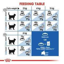 Royal Canin Indoor 7+ Dry Food 