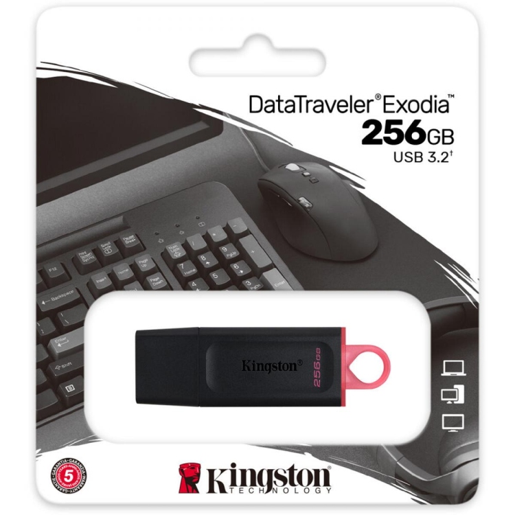 FLASH KINGSTON 256GB USB3.2
