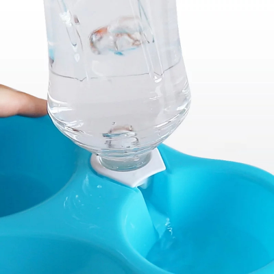 صحن طعام وماء