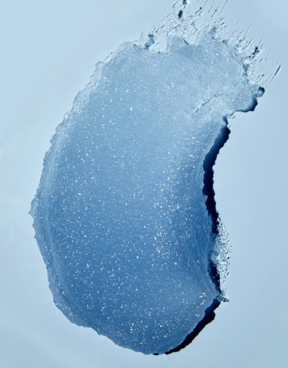 Tree Hut, Exotic Bloom Shea Sugar Scrub