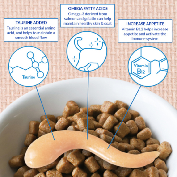 انابه شورو كريمي دجاج  