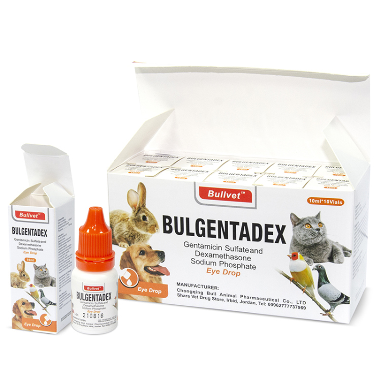 قطرة لعلاج العين 