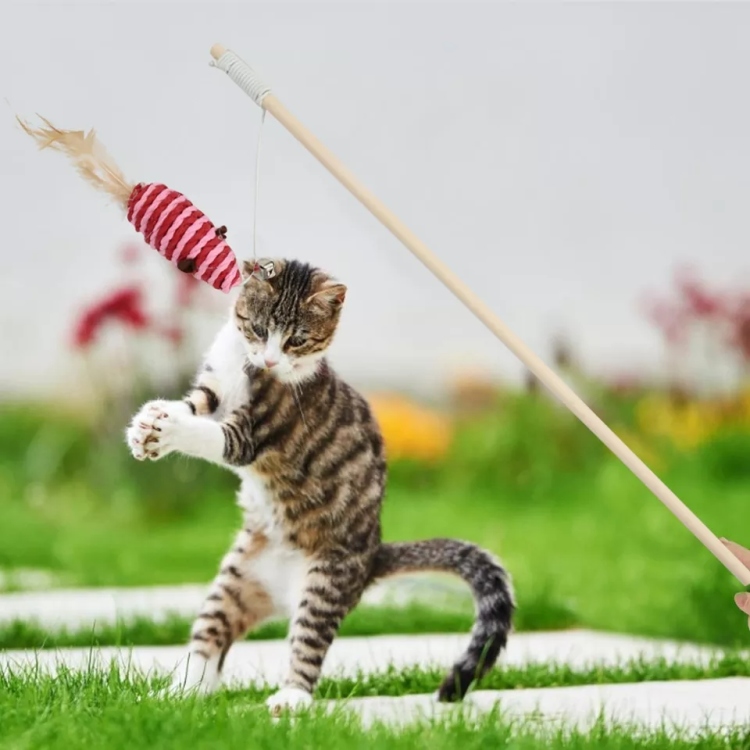 لعبة عصا خداشة 