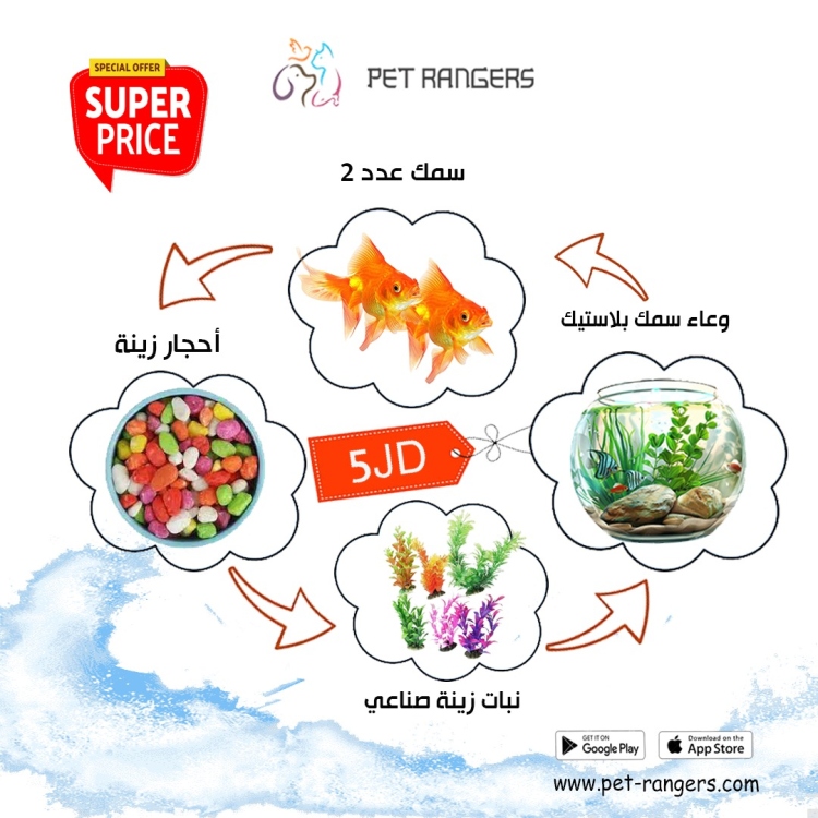 مجموعة وعاء الأسماك وجميع مستلزماته