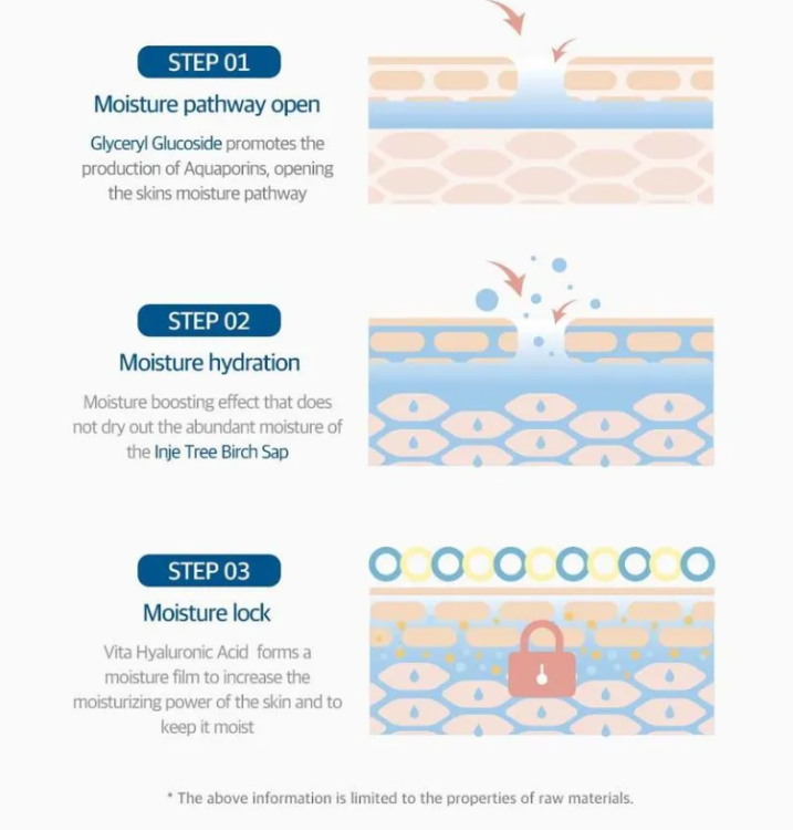 ROUND LAB, Birch Juice Moisturizing Soothing Gel
