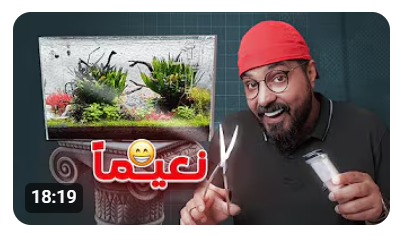 نعيماً 😍