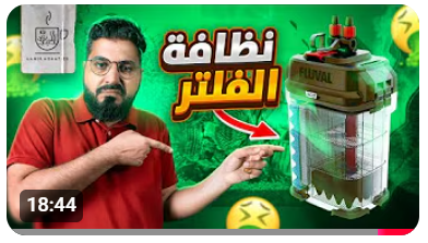 نظافة الفلتر 