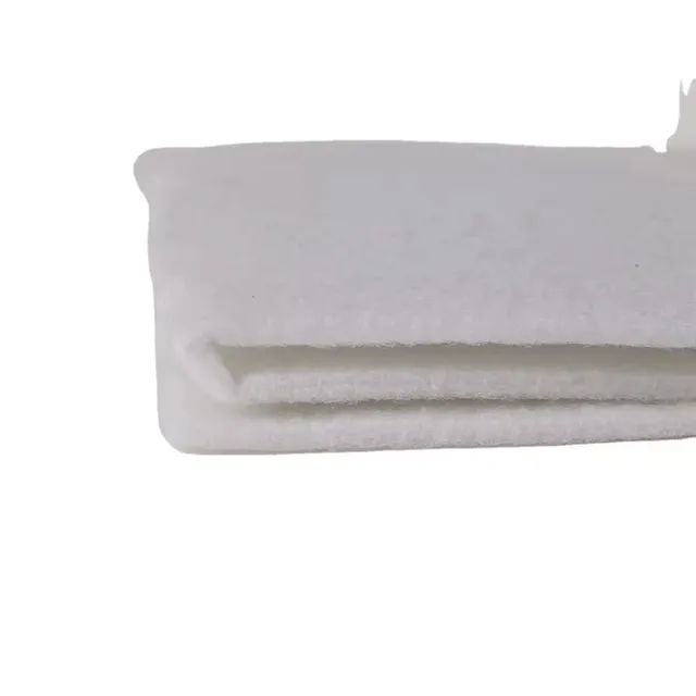 إسفنجة فلتر