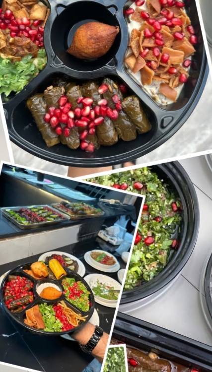 علب ميكرويف 5 خانات 24سم ارتفاع 4.5