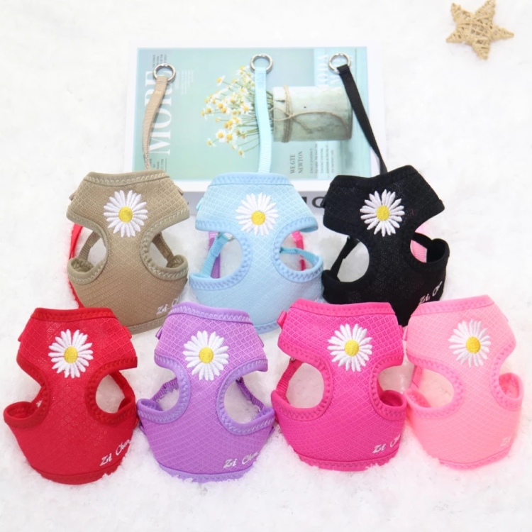 طوق صدر للقطط