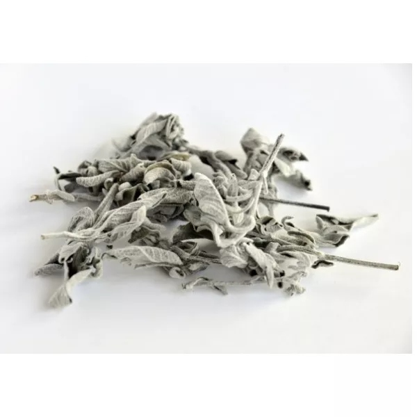 ميرمية لبنانية