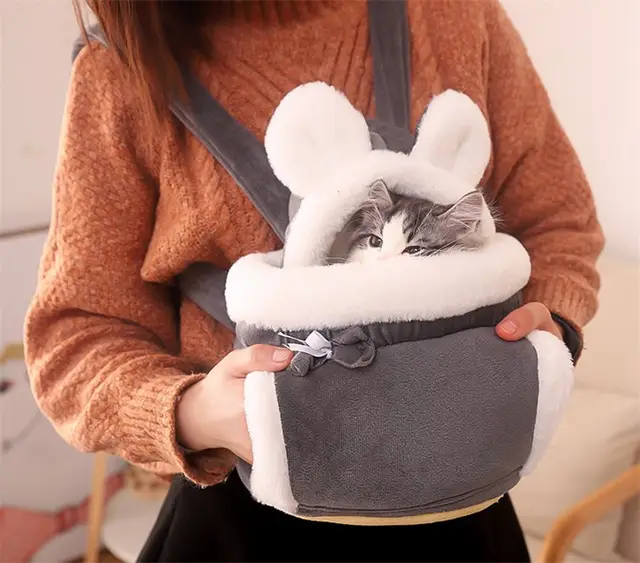 حقيبة لنقل القطط 