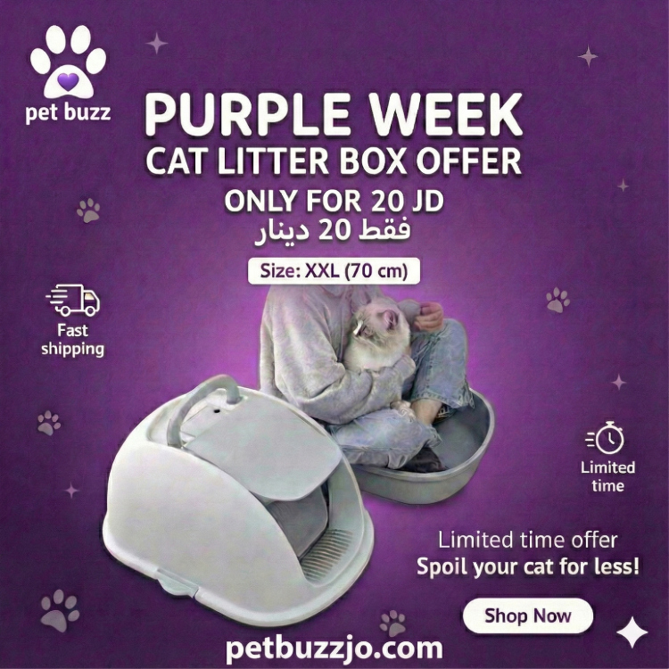 Cat Litter Basin, Oversized, Fully Enclosed, Splashproof Maine Cat Toilet, Extra Large, Odor Proof