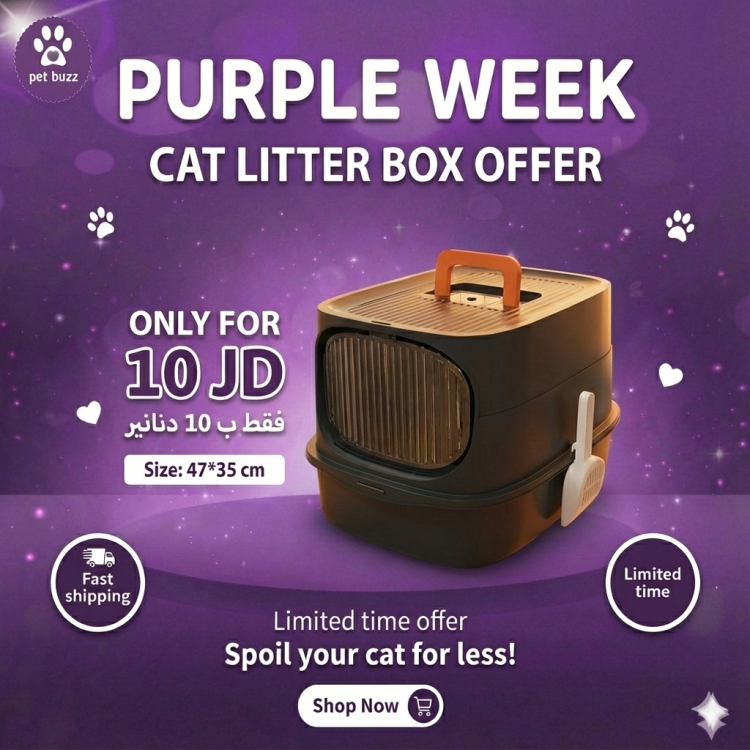 Closed Litter box offer (47*35 cm)