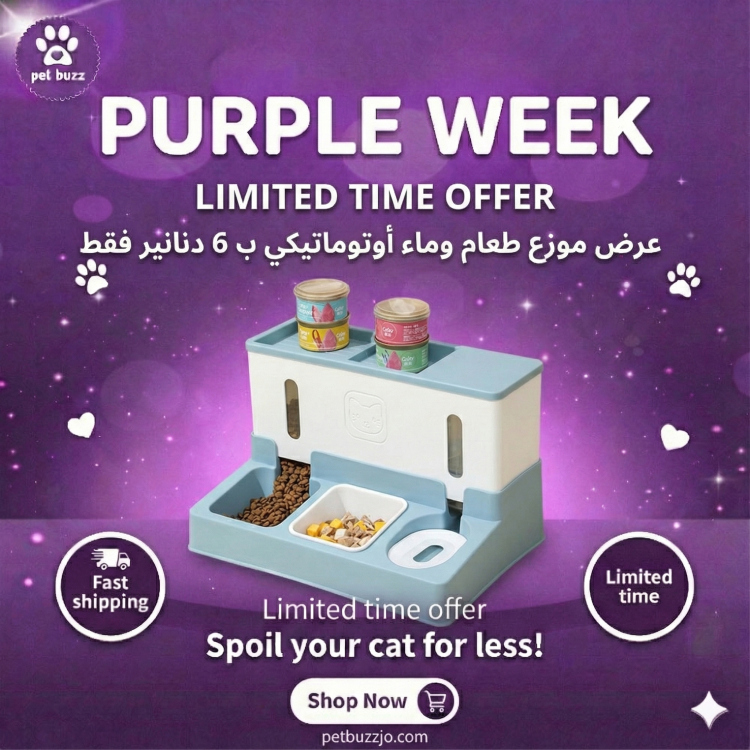 3-in-1 automatic pet feeder and water dispenser set for cats and small dogs