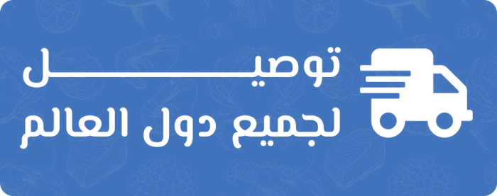 أحدث المنتجات