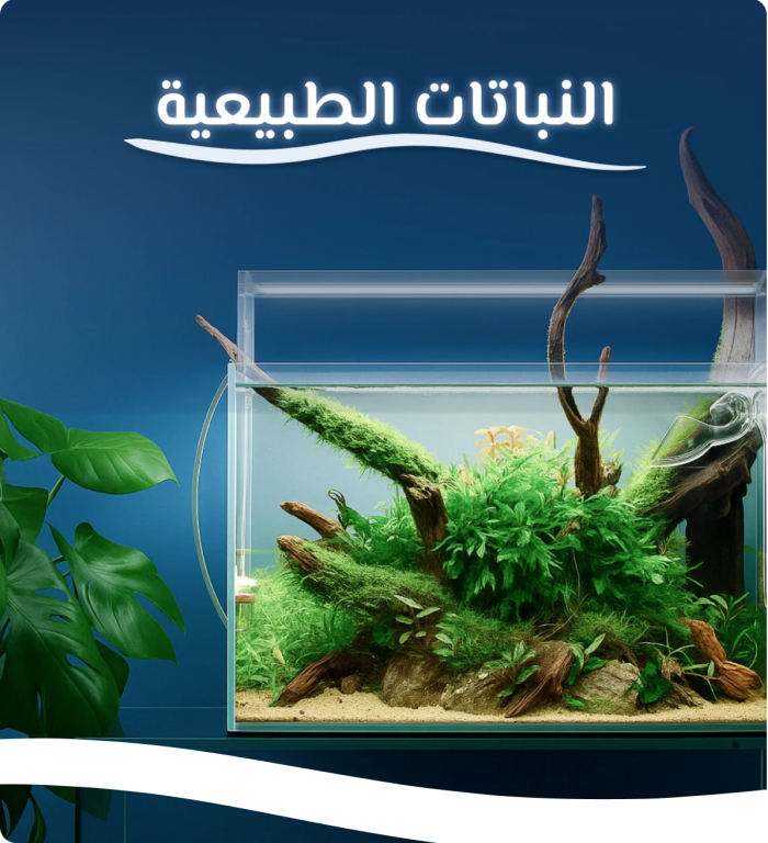 النباتات الطبيعية