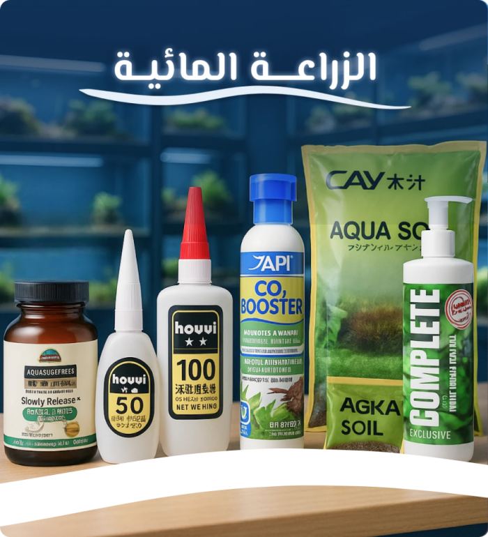 الزراعة والأخشاب