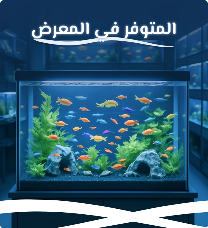 الأسماك في المعرض